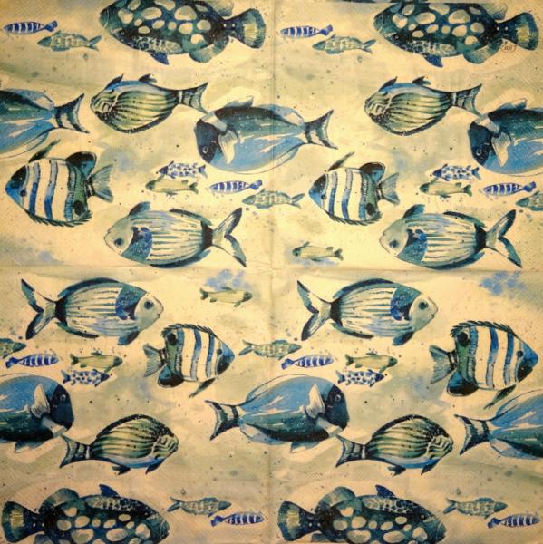 141 Fische - 3-lagig - USA
